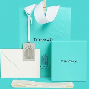 Tiffany & Co. Blue Box and Bag Set